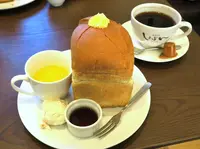 しょぱんの写真・動画_image_287371