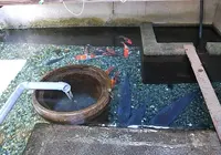 生水の郷の写真・動画_image_74466