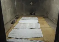 八瀬かまぶろ ふるさとの写真・動画_image_85786