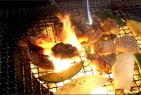 こぶしの木の写真・動画_image_796289