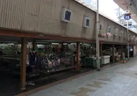 ソルパセオ銀座の写真・動画_image_74732