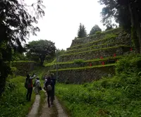 岩村城跡の写真・動画_image_144528