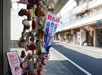 マイロード本町の写真・動画_image_67337