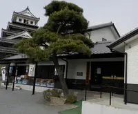 中津城（奥平家歴史資料館）の写真・動画_image_90434