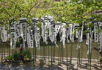 鶴岡八幡宮の写真・動画_image_24586
