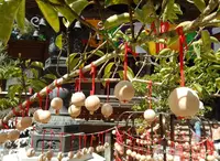 龍蓋寺（岡寺）の写真・動画_image_197442