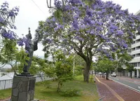 よしちょうの写真・動画_image_92415