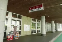 大江戸温泉物語 日光霧降温泉 日光霧降の写真・動画_image_328558