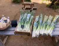 多世代交流カフェ 旧中川邸の写真・動画_image_435030