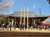 壇上伽藍の写真・動画_image_67761