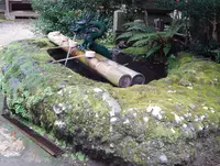 松尾寺の写真・動画_image_94117