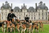 Chateau de  Cheverny