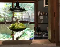 蒼々としての写真・動画_image_224840