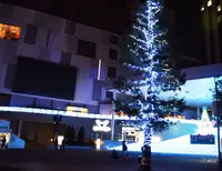 ダイバーシティ東京 プラザの写真・動画_image_206943