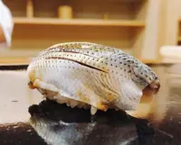 すぎた（寿司）の写真・動画_image_309670
