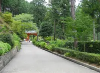 三室戸寺の写真・動画_image_27372