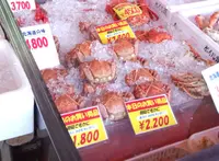 札幌市中央卸売市場 場外市場の写真・動画_image_11632