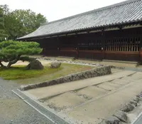 東福寺の写真・動画_image_83588