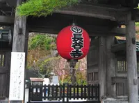 長谷寺の写真・動画_image_140609
