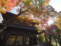 永源寺の写真・動画_image_67129