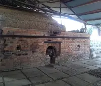 Ogamaの写真・動画_image_128275