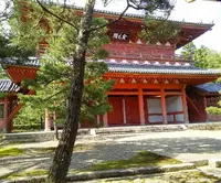 龍寶山　大徳寺の写真・動画_image_233108