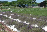 まきばの館の写真・動画_image_78426