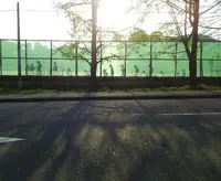 今宮神社の写真・動画_image_129661