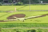 シルク温泉やまびこ田んぼアート