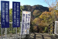 竜神大吊橋の写真・動画_image_69041