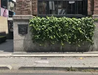 ラルフ ローレン表参道の写真・動画_image_334385