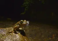 上野原市の写真・動画_image_54189