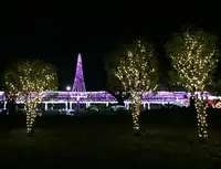 元渕江公園の写真・動画_image_54117
