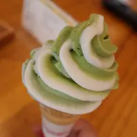 二鶴旅館の写真・動画_image_301420