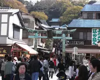 江の島の写真・動画_image_37590