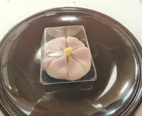 七條甘春堂 本店の写真・動画_image_422177
