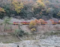 星のや 京都の写真・動画_image_18512