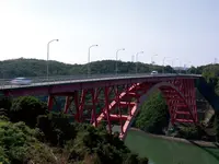 パールロードの写真・動画_image_81886