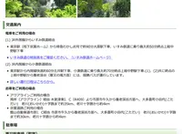 粟又ノ滝の写真・動画_image_37768