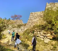 竹田城跡の写真・動画_image_64067