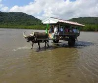 由布島の写真・動画_image_746680