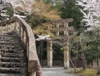 化野念仏寺の写真・動画_image_66717