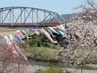 柿の郷くどやまの写真・動画_image_69619