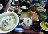 白菊の写真・動画_image_89659