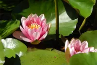 十輪寺の写真・動画_image_76960