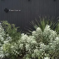 Tas Yardの写真・動画_image_208480