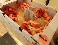 奥山いちご農園 | plateの写真・動画_image_124542