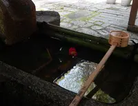 白雲神社の写真・動画_image_71485