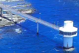 勝浦海中展望塔