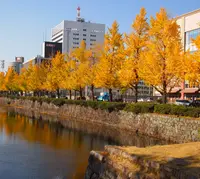 紅葉渓庭園の写真・動画_image_16746